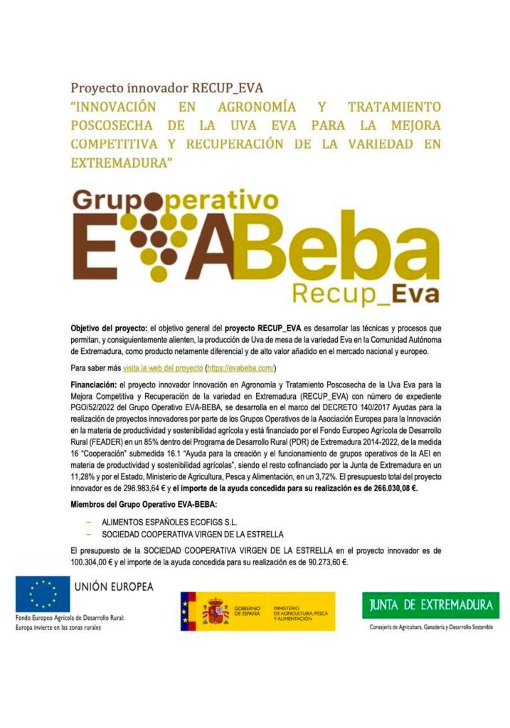 imagen proyecto Evabeba